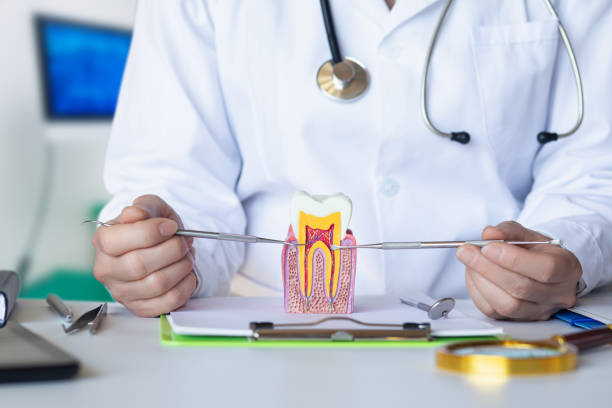 Best Cosmetic Emergency Dentistry in Maugansville, MD